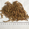 Dried Mealworm