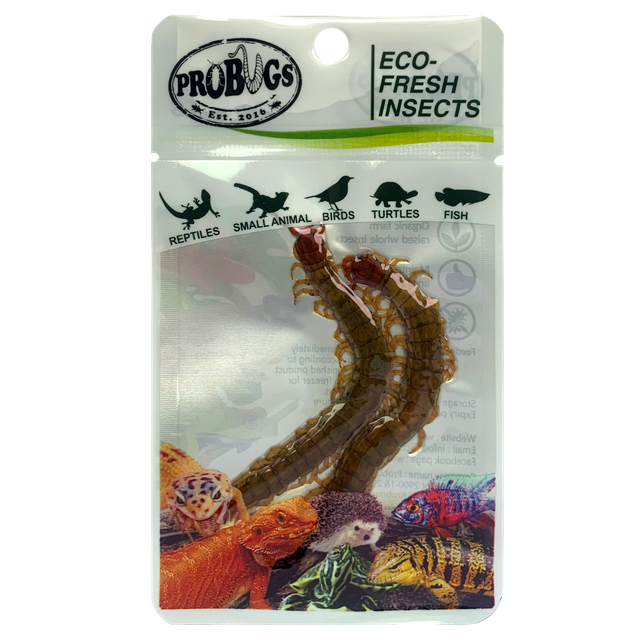  Eco-fresh Centipede