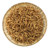 Dried Mealworm