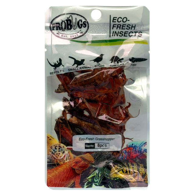  Eco-fresh Grasshopper