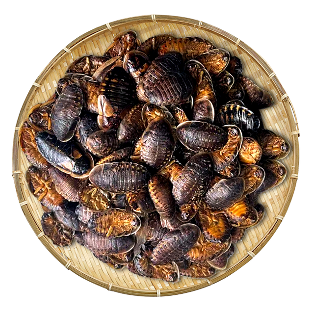 Dried Dubia Cockroach
