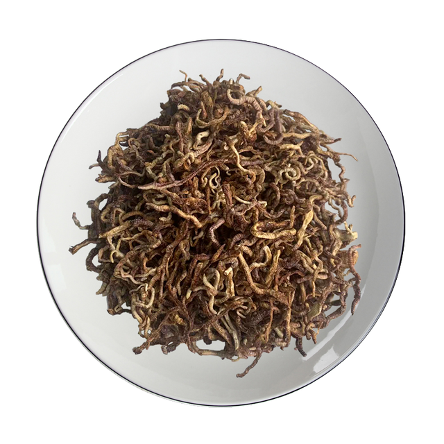 Freeze-dried Earthworm