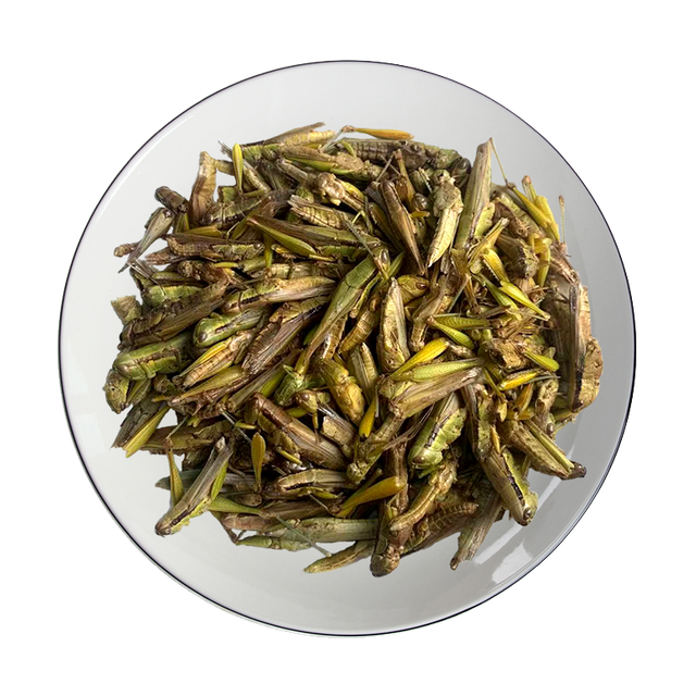 Freeze-dried Grasshopper