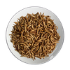 Freeze-dried Mealworm