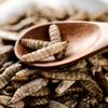 Eco-fresh Black Soldier Fly Larvae
