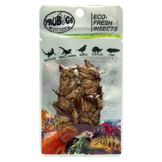  Eco-fresh Cricket