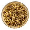 Dried Black Soldier Fly Larvae