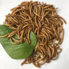 Dried Mealworm