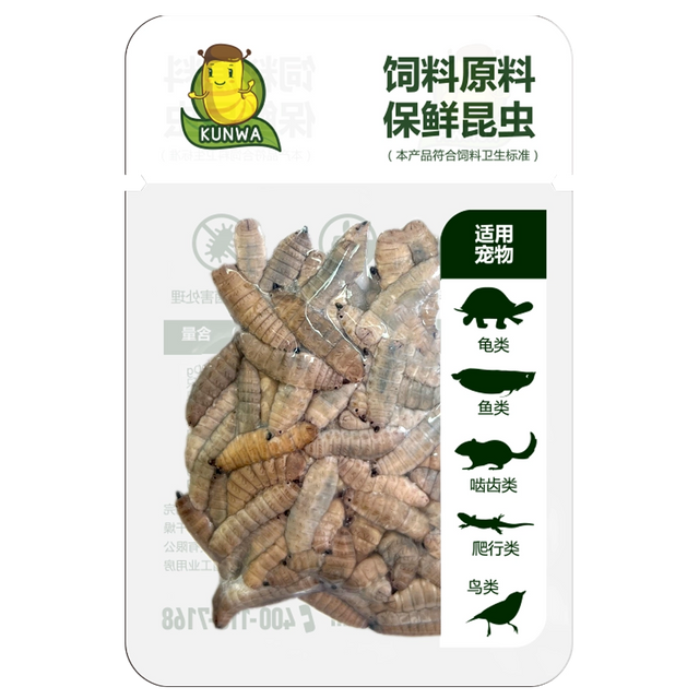 Eco-Fresh Black soldier fly