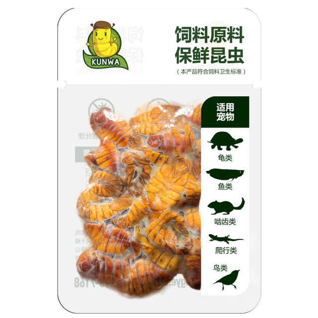 Eco-Fresh Silkworm Pupae