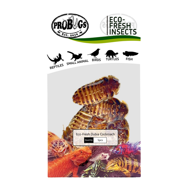 PROBUGS Eco-Fresh Dubia Roaches