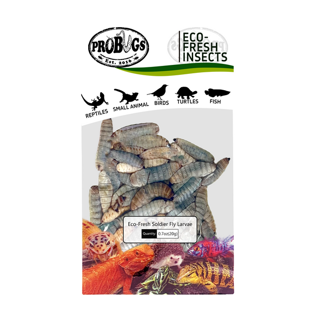 PROBUGS Preserved Black Soldier Fly Larvae