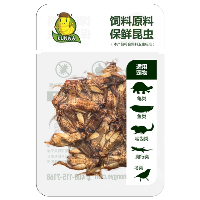 Eco-Fresh Crickets