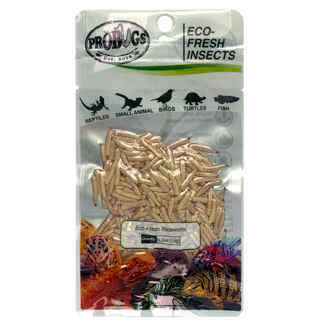 Eco-fresh Riceworm