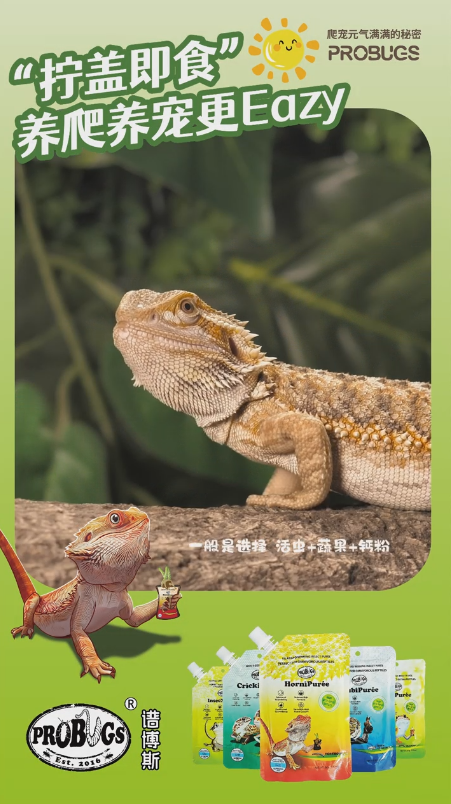 Probugs Insect Puree: The Ultimate Reptile Food
