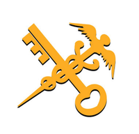 Over 10 years of export experience