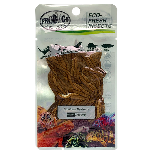  Eco-fresh Mealworm