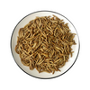 Eco-fresh Mealworm