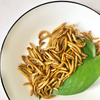  Eco-fresh Mealworm