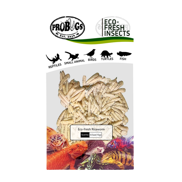 PROBUGS Eco-Fresh Rice Moths