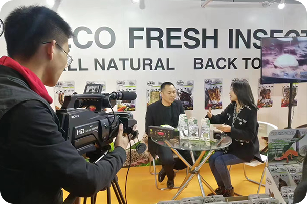 Exhibition Interviews