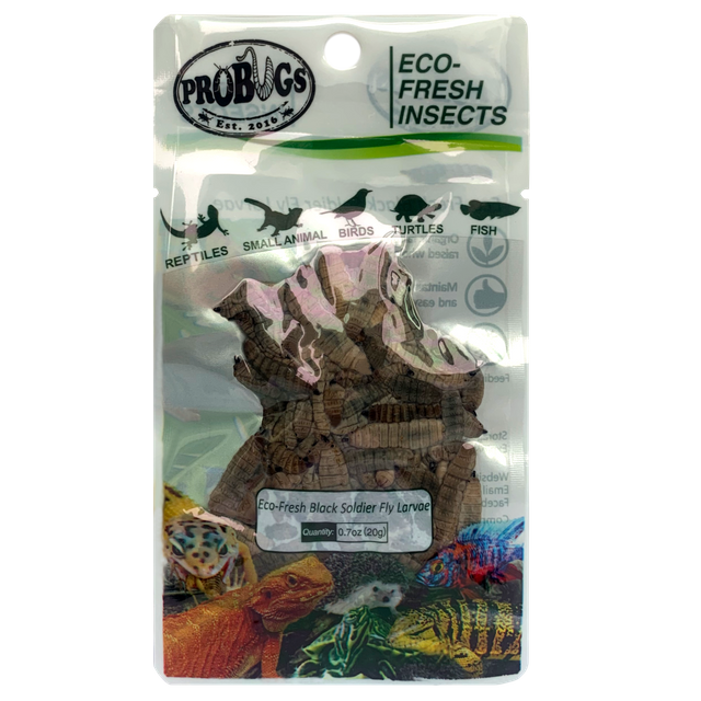 Eco-fresh Black Soldier Fly Larvae