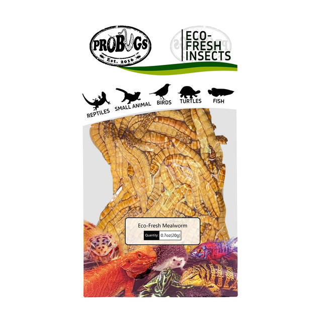 PROBUGS Preserved Mealworms