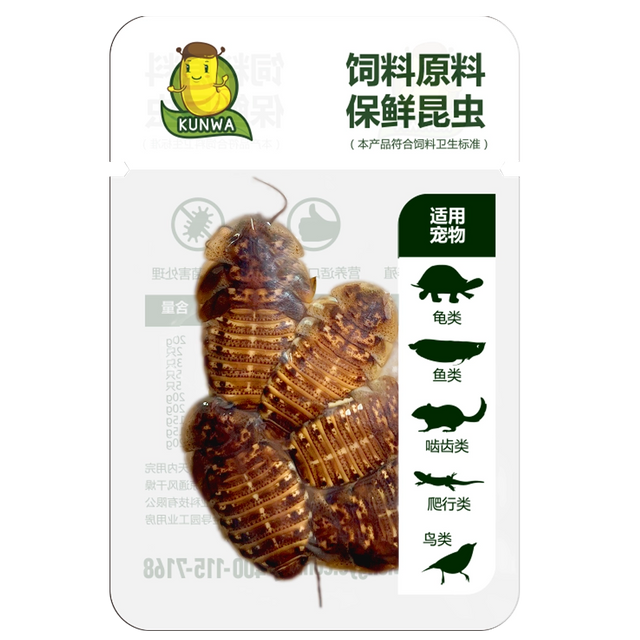Eco-Fresh Dubia Roaches